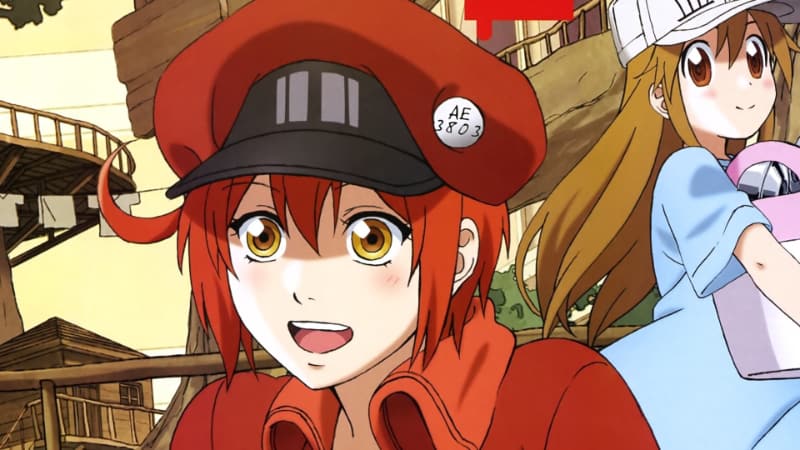 Best Red-Haired Anime Girls - AE3803 (Cells at Work!)