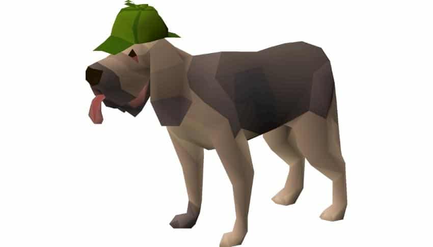 Rarest Drops -Bloodhound Pet
