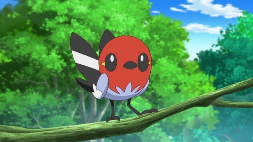 Best Bird Pokemon - Fletchling
