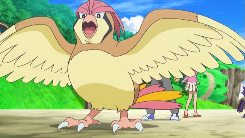 Best Bird Pokemon - Pidgeotto