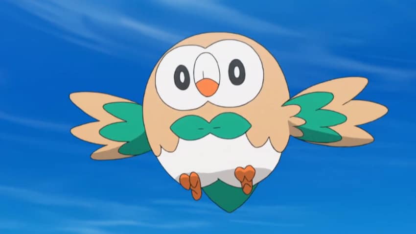 Best Bird Pokemon -  Rowlet