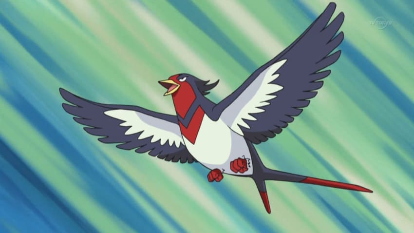 Best Bird Pokemon - Swellow