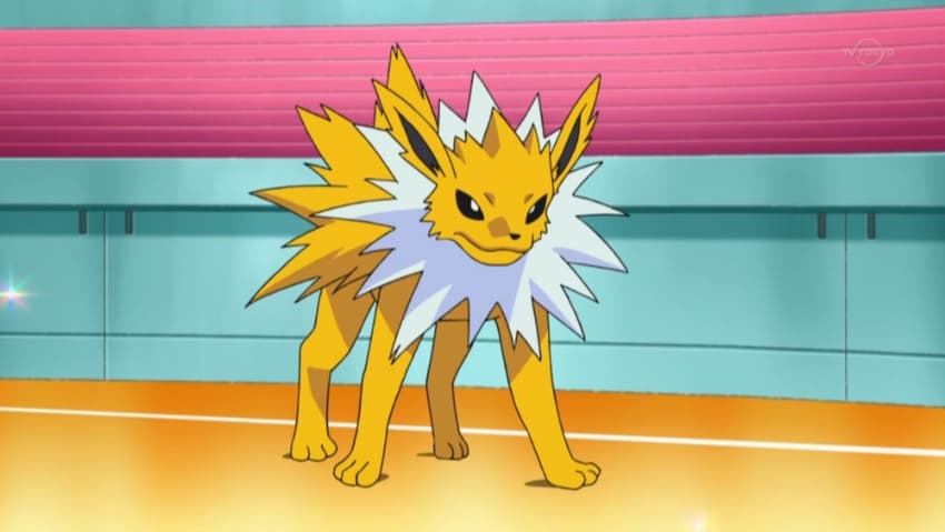 Best Dog Pokemon Of All Time - Jolteon