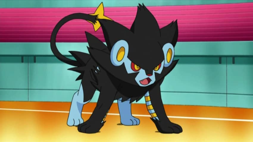 Best Dog Pokemon Of All Time - Luxray