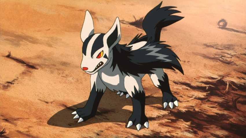 Best Dog Pokemon Of All Time - Mightyena
