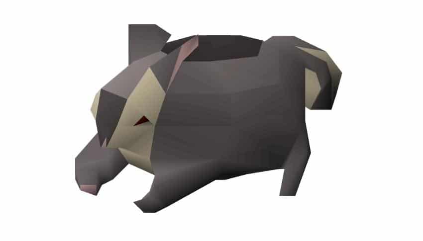 Best Ranged Weapons in OSRS - Black Chinchompas