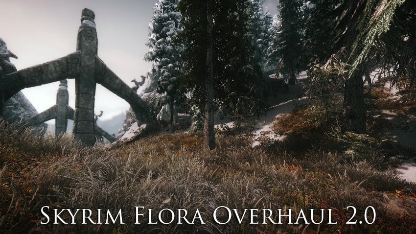 Mod Skyrim tốt nhất mọi thời đại - Đại tu Flora