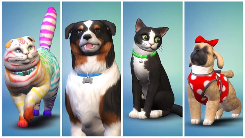 Best Sims 4 Pet Mods - Pets Season Package