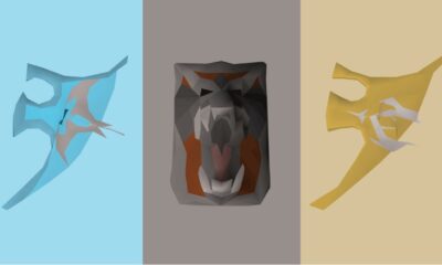 The Best OSRS Shields