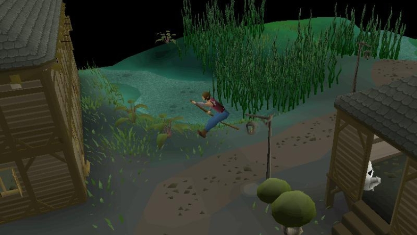 OSRS Agility Guide Canifis Agility Course