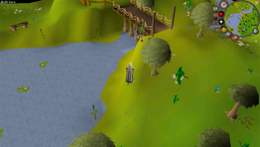 Best OSRS Fishing Locations Gnome Stronghold