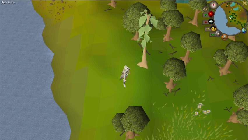 Best OSRS Woodcutting Locations Castle Wars