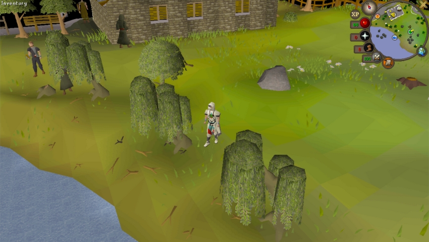 Best OSRS Woodcutting Locations Draynor Village