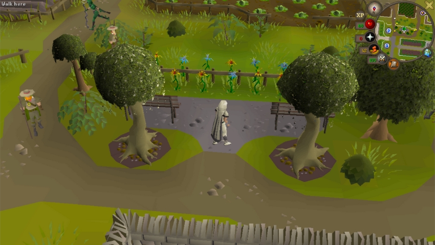 Best OSRS Woodcutting Locations Kourend