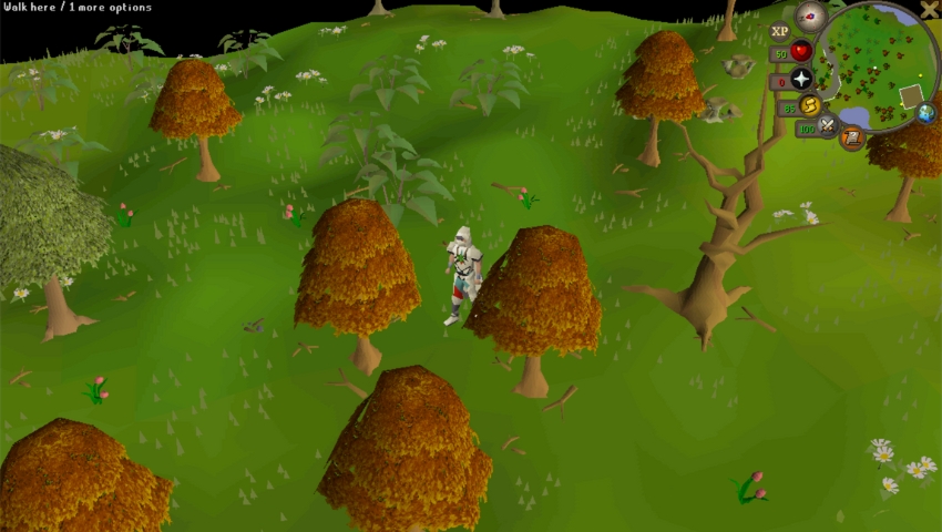Best OSRS Woodcutting Locations Seers Village