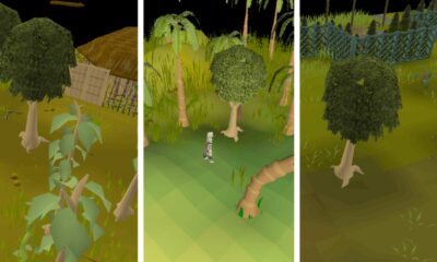 The Best Mahogany Tree Locations in OSRS