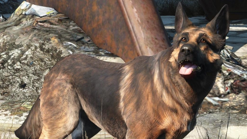 Best Fallout 4 Companions Dogmeat