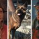 The Best Fallout 4 Companions