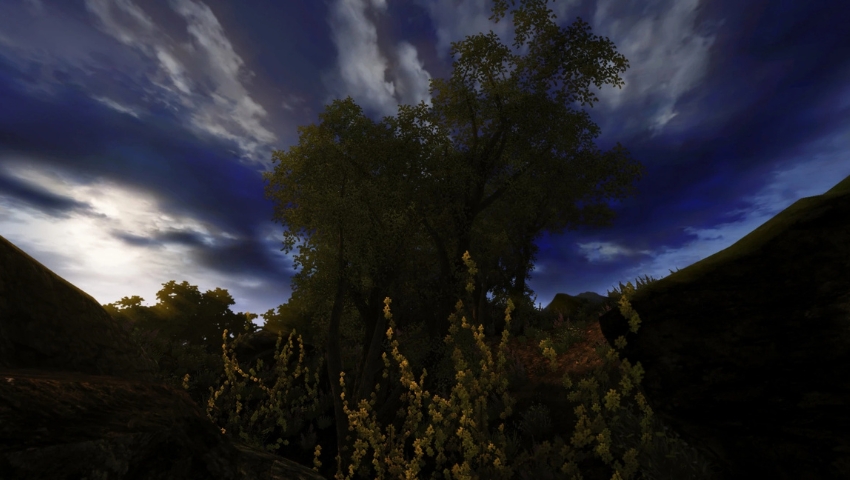 Best Elder Scrolls Oblivion Mods Natural Environments