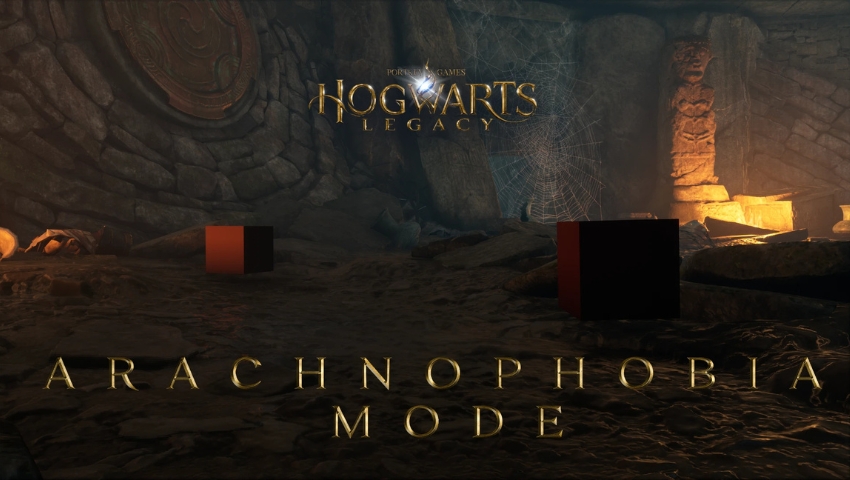 Best Hogwarts Legacy Mods Arachnophobia Mode