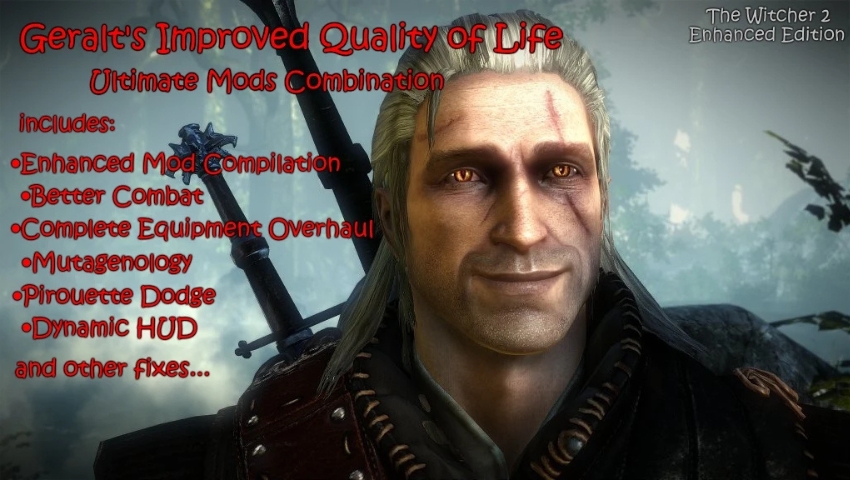 Best The Witcher 2 Mods Geralt’s Improved Quality of Life