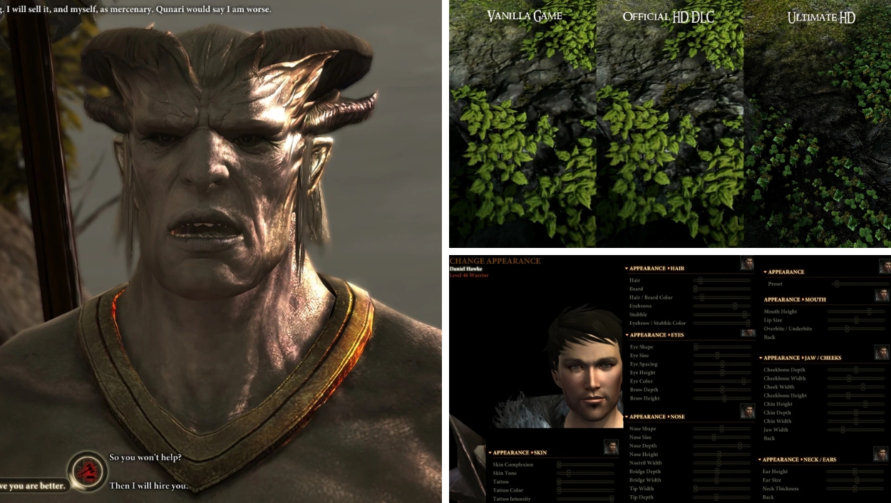 Dragon Age 2  Top 9 Character Customization Mods 