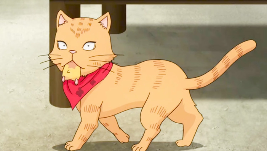 Best Anime Cats Anpu
