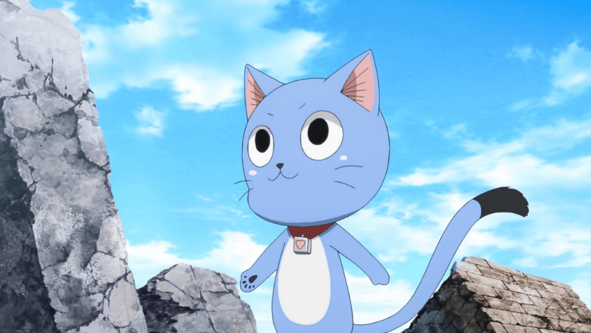 Best Anime Cats Happy