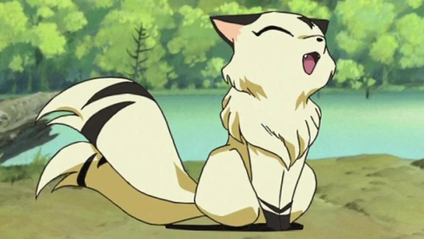 Best Anime Cats Kirara