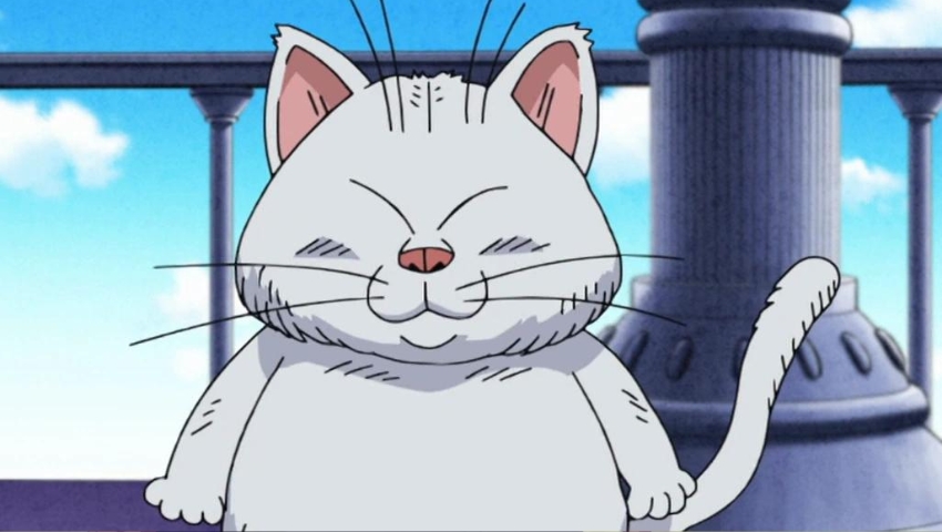 Best Anime Cats Korin