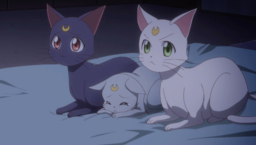 Best Anime Cats Luna Artemis and Diana