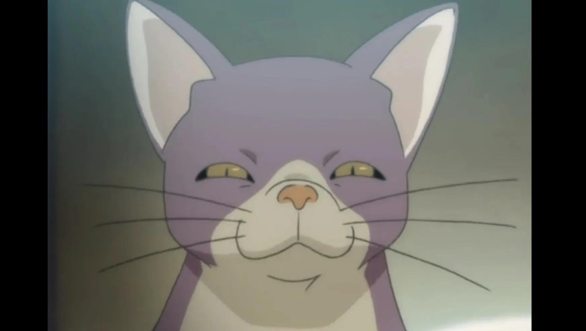 Best Anime Cats Neko Sensei
