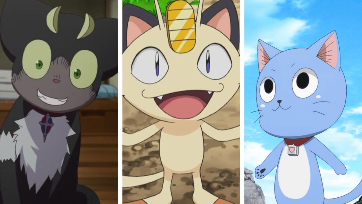 The Best Anime Cats Ranked